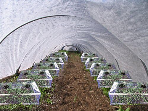 1 set of High tunnel within 10 Pack of Plastic Garden Cloche 21.5''x11''x10''