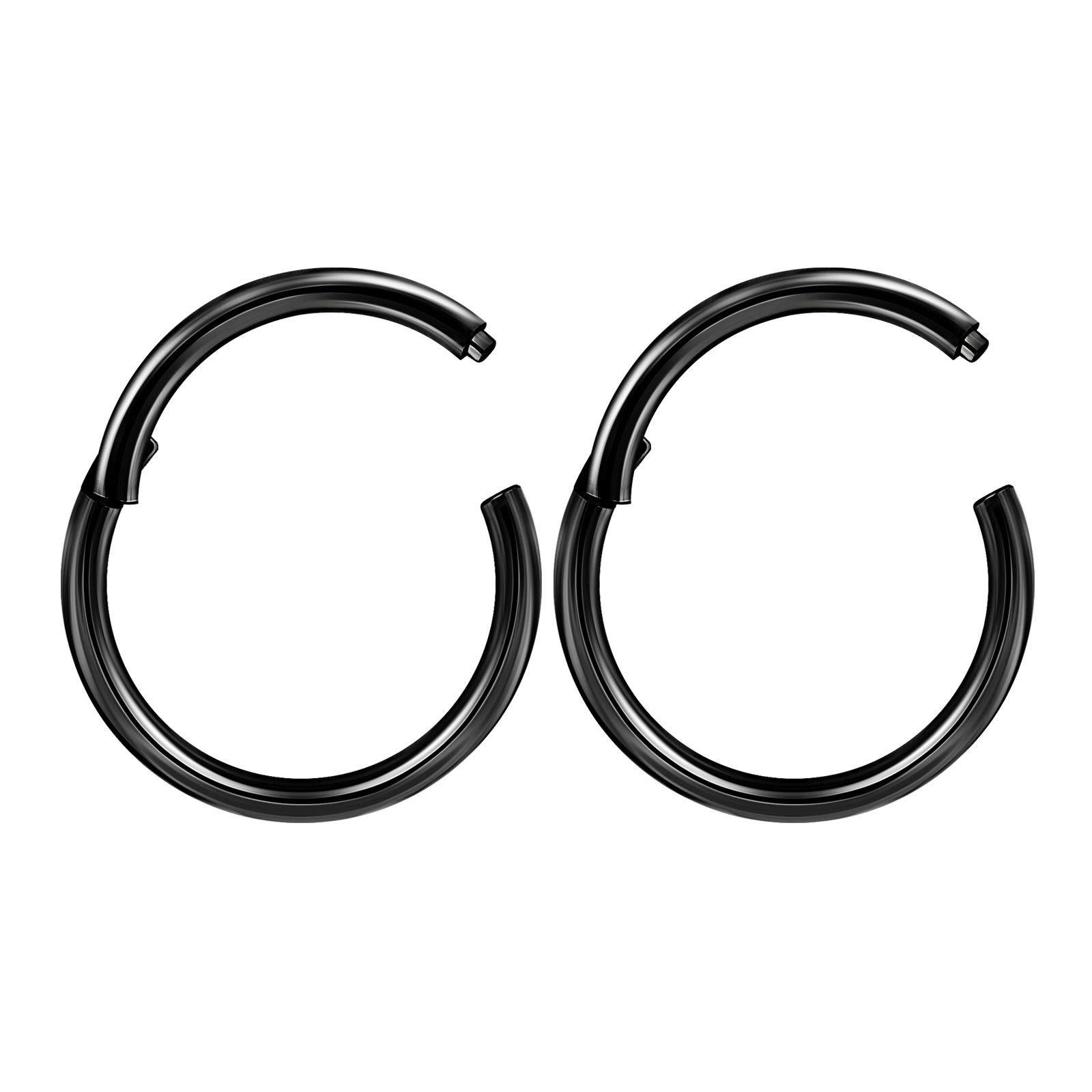 2PCS Stainless Steel Anodized Black High polished hinged segment ring 16g 3/8 10mm Earrings Tragus Piercing Jewellery 3447