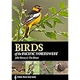 Birds of the Pacific Northwest (A Timber Press Field Guide)
