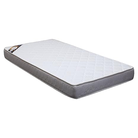 Euro Dreams Orthopaedic Memory Foam 6-inch Single Size PU Foam Mattress (White, 72x30x6)