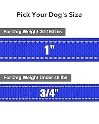 Taglory Dog Leash for Small Dogs, Double-Sided