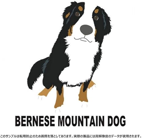 Amazon Co Jp クラブティー Clubt バーニーズマウンテンドッグ 前面 ドッグウェア 杢グレー M 杢グレー 服 ファッション小物