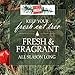 Forest Fresh Christmas Tree Preservative - Keeps Your Tree Fresh The Entire Holiday Season - 1 Packet (8 Tablets)