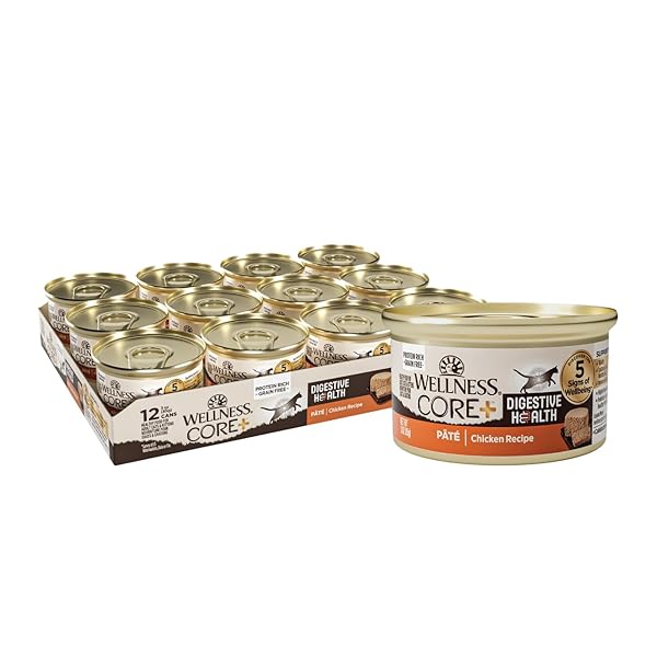 WELLNESS CORE+ DIGESTIVE HEALTH PATE ADULT WET CAT FOOD, NATURAL, PROTEIN-RICH, GRAIN FREE, 3 OUNCE, 12 PACK (CHICKEN)
