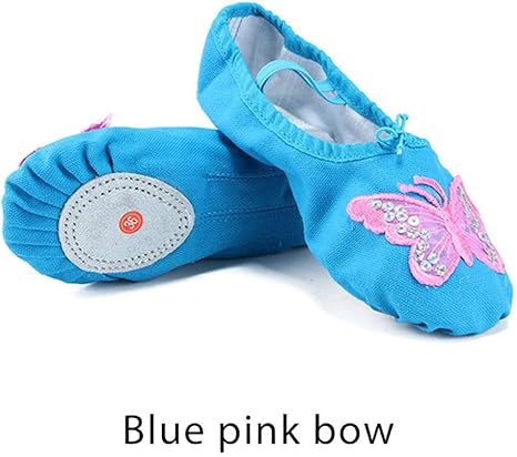 girls blue ballet shoes