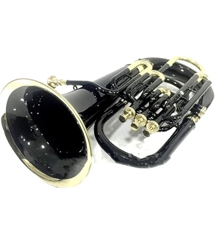 Amazon.com: Bb Pitch Euphonium Copper Brass Color 3 Valve With