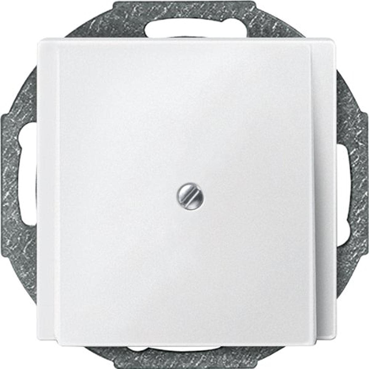 Merten 295619 Central Plate Cable Outlet, Polar White, System M