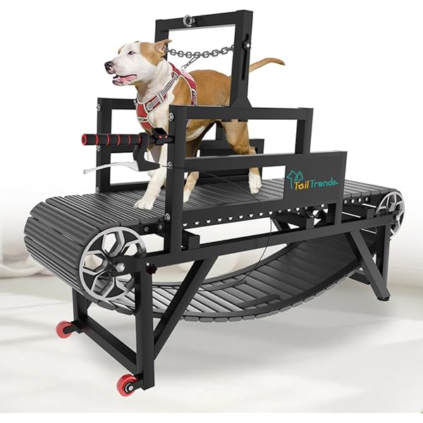 Dog Treadmill For Dogs Dog Treadmill For Large Dogs, Medium Dogs
