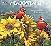 Lang 2017 Meadowland Wall Calendar, 13.375 x 24 inches (17991001931)