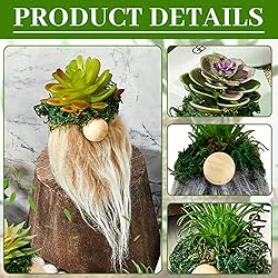 4 Pcs Mini Succulent Gnomes Swedish Plush Tiered