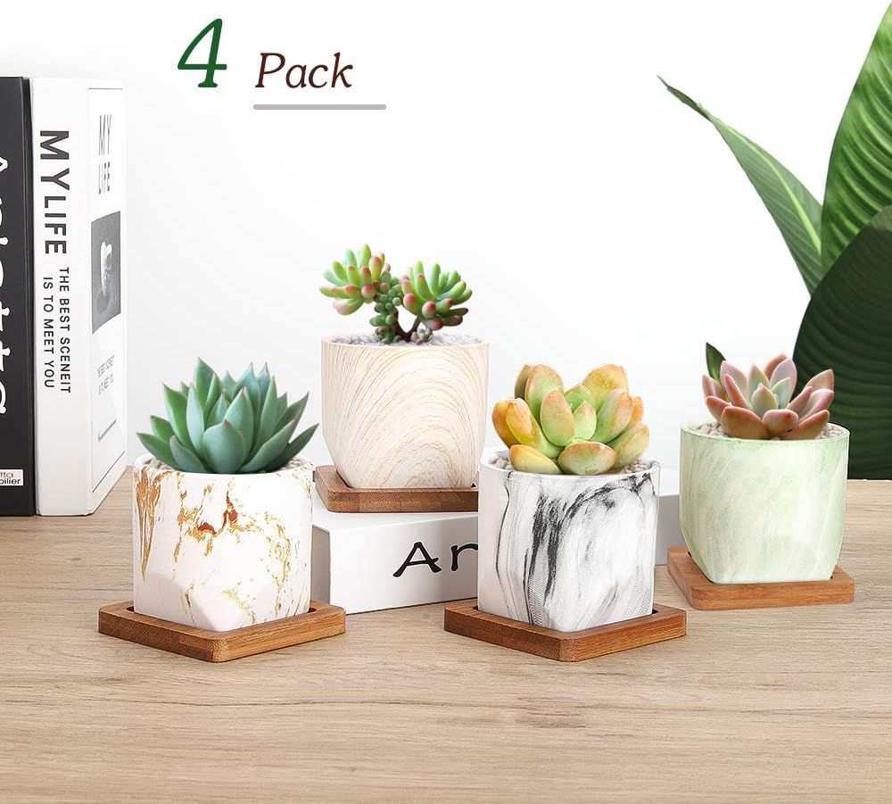 Portagioie A Forma Di Cactus In Ceramica - Vassoio Organizzatore Per Anelli, Bracciali, Decorazione Casa - Foto 11