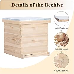BeeCastle 10 Frame Langstroth Bee Hive, Beehive