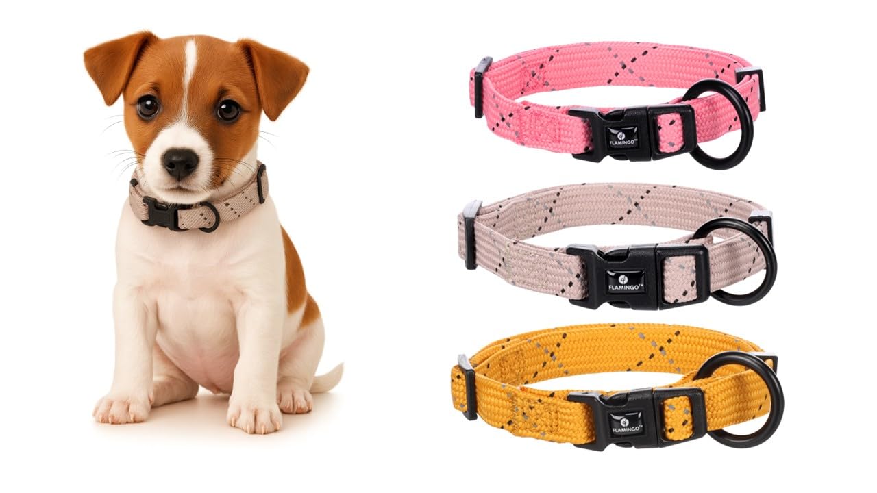 Flamingo Dog Collar Puppy Dolly Taupe S 30-45cm 15mm