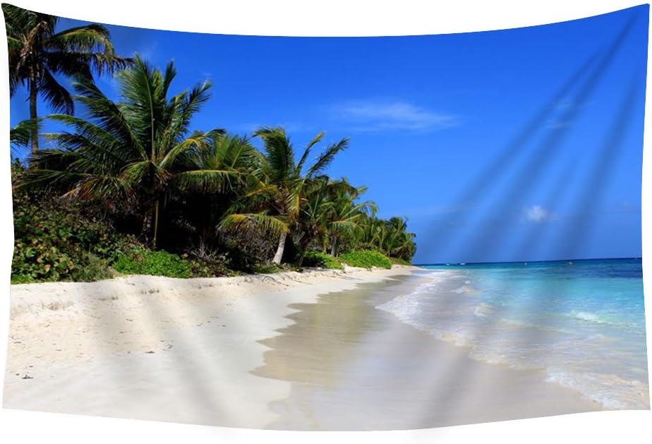 Amazon Com Pupbeamo Prints Flamenco Beach Culebra Puerto Rico