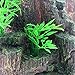 Saim Aquarium Mountain Ornament Fish Tank Rockery Cave Tree House Cave Fish Tank Decoration for Aquarium Decoration
