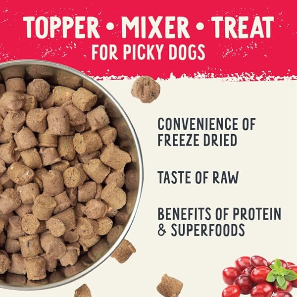 HEALTH EXTENSION SUPERBITES FREEZE-DRIED RAW BEEF MEAL MIXER FOR DOGS, (12 OZ, 340.2 G) – PREMIUM BLEND WITH RAW PROTEINS AND SUPERFOODS FOR OPTIMAL NUTRITION
