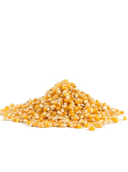 BOB’S RED MILL YELLOW POPCORN, 30OZ (PACK OF 1) – NON GMO, WHOLE GRAIN, VEGAN, KOSHER