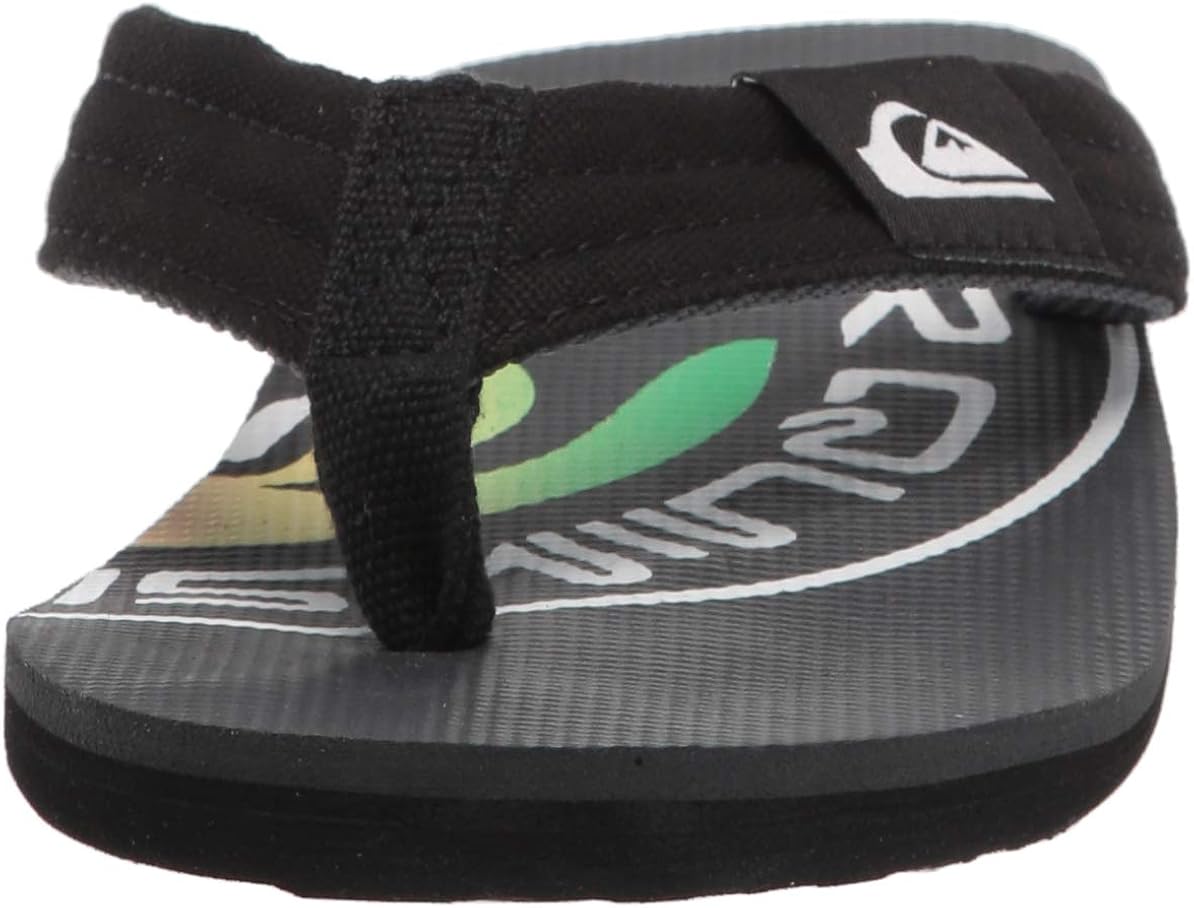 Quiksilver Men's Molokai Layback Flip-Flop: Shoes