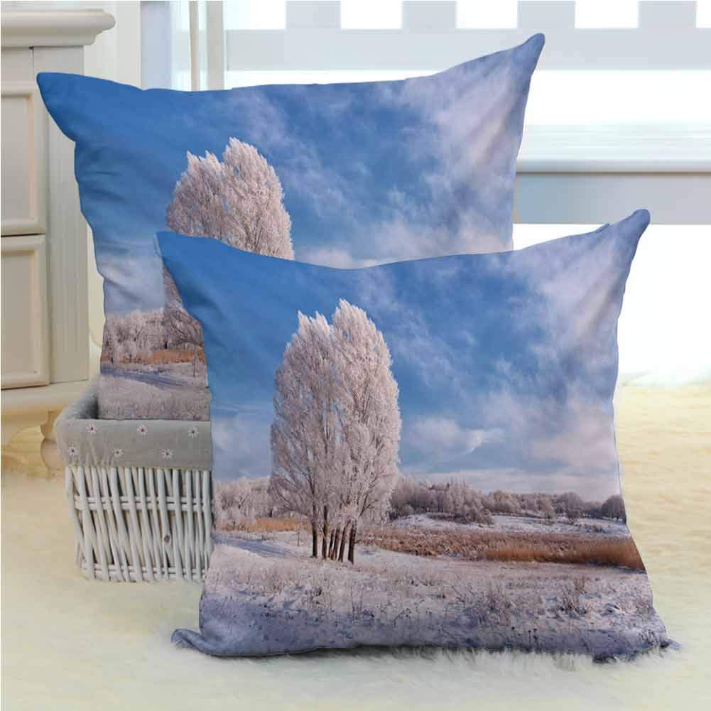 Which Is The Best Campbell Nice Icy Water Filter