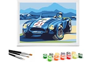 Nariolar Paint by Numbers for Kids Ages 4-8-12 with 7X9.5 inch Pre-Printed Cardboard,12 Acrylic Paint Pots and 3 Painting Brushes, Room Decor for Children,(Sports Car) …
