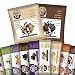 Bhu Fit Variety 12 pack – Protein Bars and Cookies