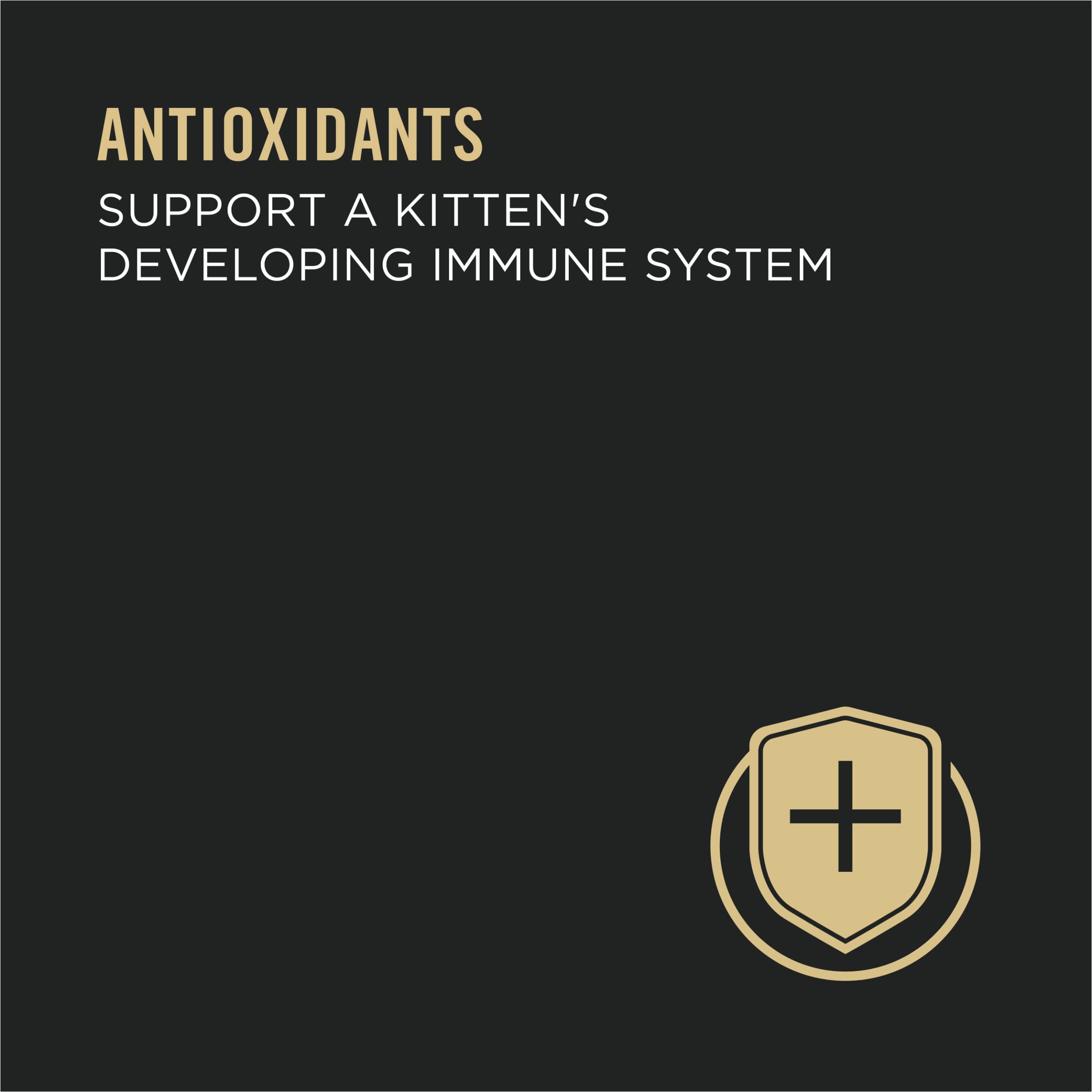 Purina Pro Plan High Protein Wet Kitten Food Variety Pack, DEVELOPMENT