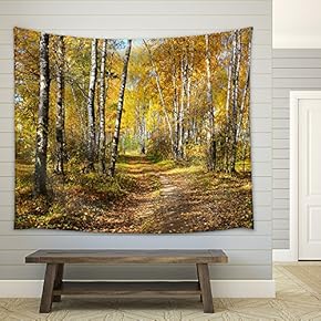 Birch Grove in Autumn Forest - Fabric Wall Tapestry Home Decor - 51x60 inches
