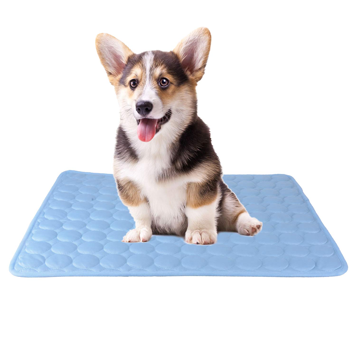 SAFLYSE Pet Mat Cooling Pad for Cats and Dogs CoolCore/Non-Toxic/Blue (S)
