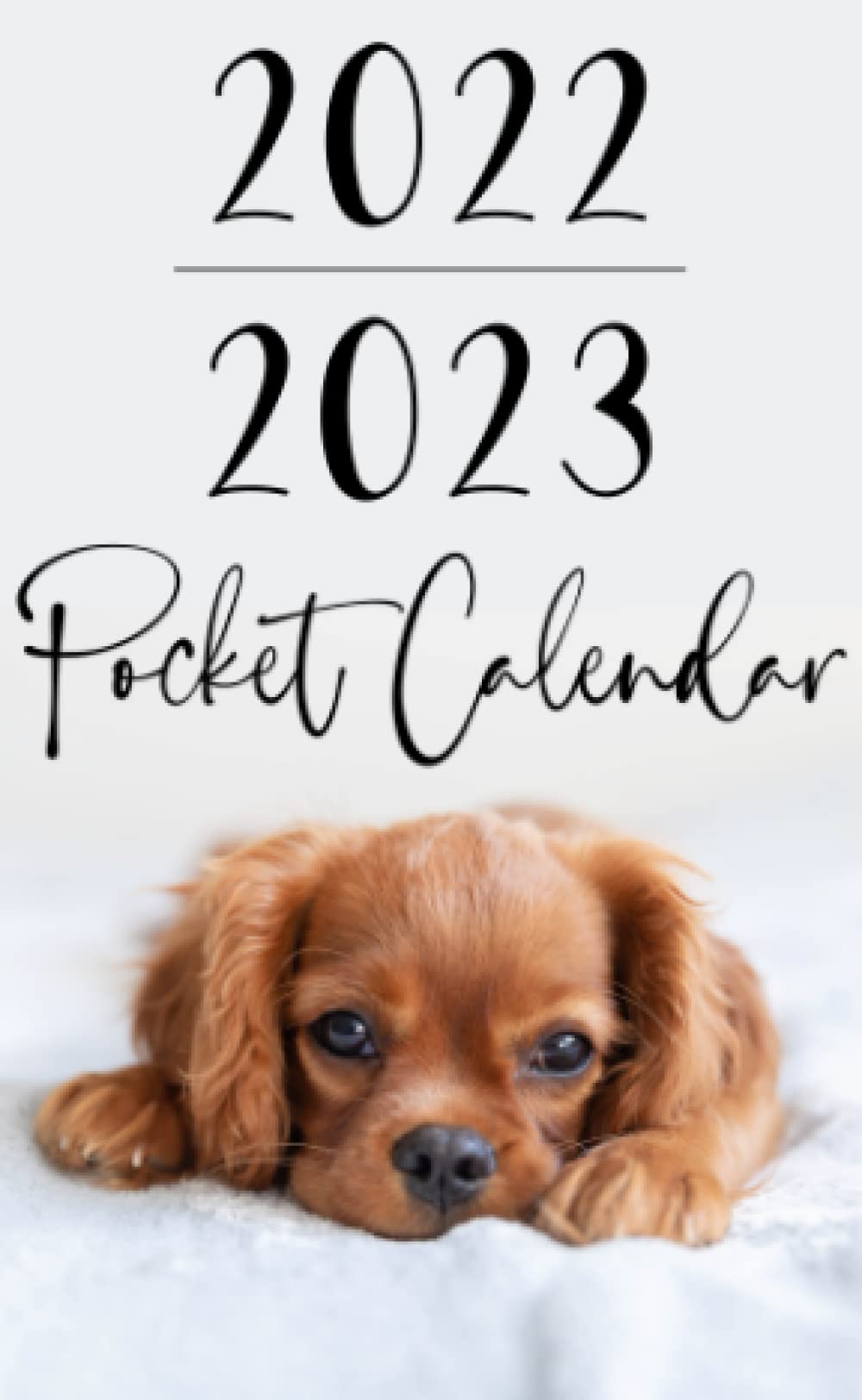 2022 2023 Pocket Calendar Dog Pocket Calendar 2022-2023 For Purse: Cute 2 Year Small Monthly Planner  From January 2022 To December 2023 | 24 Month Calendar Agenda Schedule ...  List, Goals & Notes | Small Appointment Book: Planners, Rosemary's:  9798773924289: Amazon.com: Books