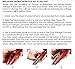 JINRI 1875W Travel Hair Dryer Dual Voltage Blow Dryer Dc Motor Foldable Handle Lightweight Negative Ionic Folding Hair Dryer (Rose Gold)