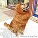 Kakasogo 1 Pcs 2017 New Brown Lion Mane Wig With Ear for Dog Costume Party Club Halloween Christmas Festival Pet Decor Gift Supplies Hair Head Tool Set Adjustable Size Fit more King Dogs