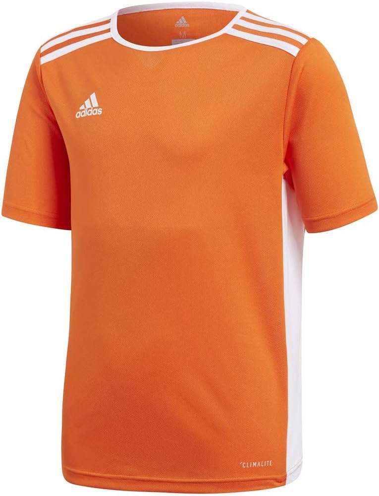 adidas Entrada 18 Jersey Shirt
