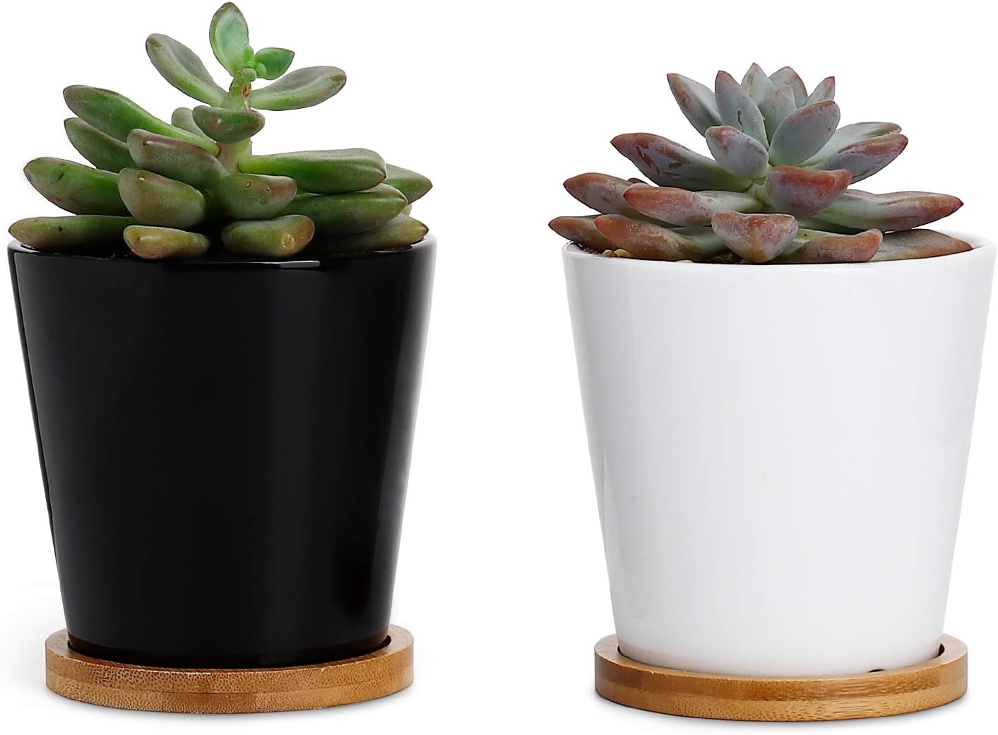 Greenaholics Succulent Pots - 4.3 Inch Cylinder Ceramic Planters, with Drainage Hole and Bamboo Trays, White&Black, Set of 2