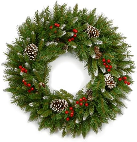 Pre-Lit 24" Indoor Outdoor 50 Clear Lights Frosted Berry Christmas Wreath