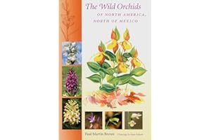 The Wild Orchids of North America, North of Mexico