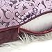 Homey COZY Modern Velvet Throw Pillow Cover (Plum)