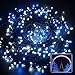 Excelvan Safe 24V 500 LEDs 100M/328FT Dimmable Lights String Fairy Lights DC Transformer with Green String 8 Modes for Bedroom Patio Garden Gate Yard Party Wedding Decoration(Blue White)