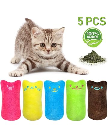 Amazonfr Jouets à Lherbe à Chat