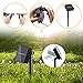 Pobon Solar String Lights Outdoor, 4 Colors Starry Lights 100 Led 33' Waterproof Copper Wire Fairy Ambiance Lighting with 2 Modes for Garden, Patio, Wedding, Christmas Party and Holiday Decoration