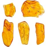 ELEGAMBER Baltic Amber Natural Fossil Insects,Insects from Millions of Years ago,True Insect Samples-Science Classroom Science Education Animal Specimens (Amber with Two or mroe Insects Fossils)