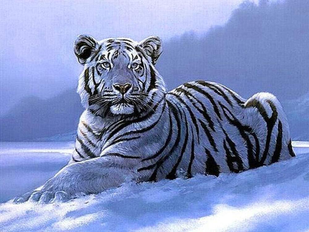 HXZFF DIY 5D Diamond Painting Kits for Adults Animal white tiger Cross Stitch Kit Diamond Painting Kits Rhinestone Embroidery Diamond Art for Home Decor Living Room Frameless 11.81x15.75inch