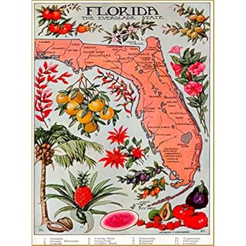 A SLICE IN TIME Florida The Everglade Everglades State Map United States of America Vintage Travel Advertisement Art Poster Print. Measures 10 x 13.5 inches