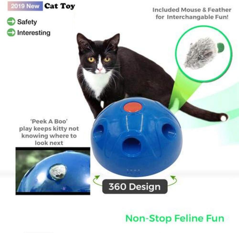 pop n play cat toy amazon