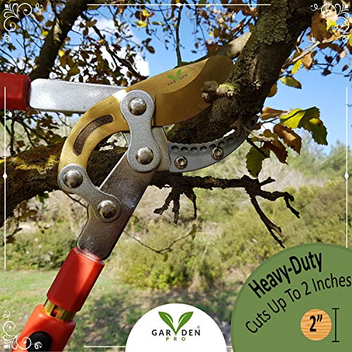Professional Titanium Telescoping Loppers, Anvil Hedge Clippers, Tree Trimmer Pruner Cutters