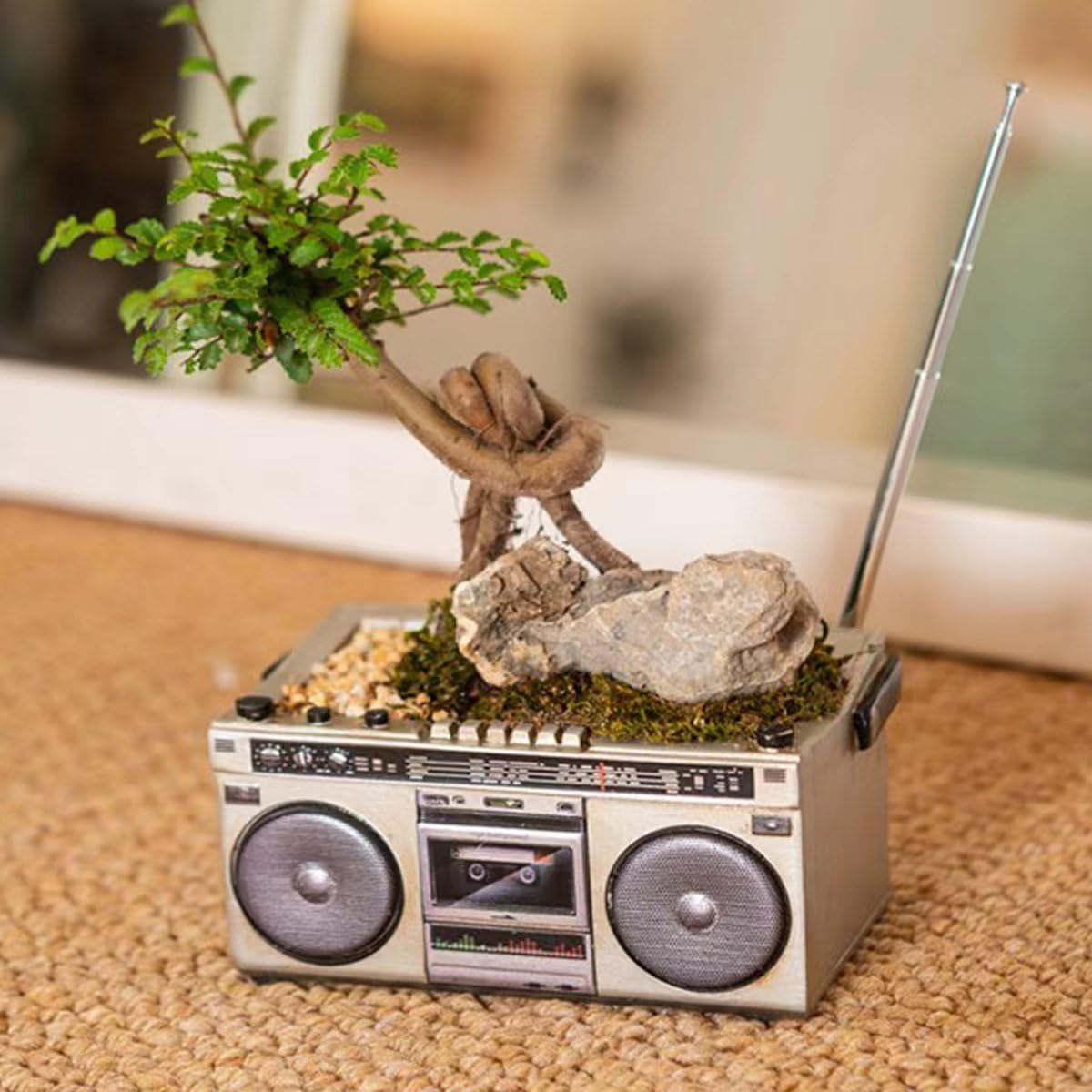 Leen4You Succulent Plant Pot Garden Planting Pots Cute Little Pots with Drain Hole for Plants Cactus Flower Perfect for Home Office Decor (Cassette Recorder Style)