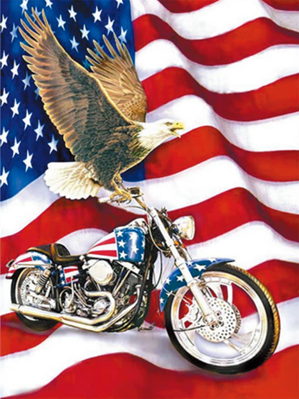 Cross Stitch Kits Stamped, OWN4B Motorcycle and Flag Printed Pattern 11CT 14.2x18.1 inch DIY Embroidery Kit (Motorcycle)
