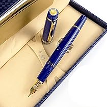 新品未使用 raw life factory 玉連 SMOKE GOLD Amazon.com: Fit for Wing Sung 629 Resin Piston Fountain Pen