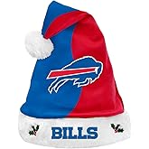FOCO NFL unisex-adult Plush Holiday Santa Hat Cap