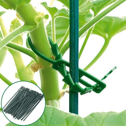 Faviye 50 unids plástico jardinería Empate Plantas Sujetadores ...