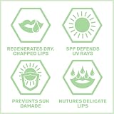 Sebamed Lip Defense SPF 30 Lip Balm 4.8g Classic Range view 2